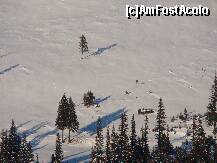 [P27]  -- <small>// FĂRĂ DESCRIERE</small> » foto by rodik
 - 
<span class="allrVoted glyphicon glyphicon-heart hidden" id="av182589"></span>
<a class="m-l-10 hidden" id="sv182589" onclick="voting_Foto_DelVot(,182589,4665)" role="button">șterge vot <span class="glyphicon glyphicon-remove"></span></a>
<a id="v9182589" class=" c-red"  onclick="voting_Foto_SetVot(182589)" role="button"><span class="glyphicon glyphicon-heart-empty"></span> <b>LIKE</b> = Votează poza</a> <img class="hidden"  id="f182589W9" src="/imagini/loader.gif" border="0" /><span class="AjErrMes hidden" id="e182589ErM"></span>