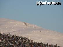 [P31]  -- <small>// FĂRĂ DESCRIERE</small> » foto by rodik
 - 
<span class="allrVoted glyphicon glyphicon-heart hidden" id="av182593"></span>
<a class="m-l-10 hidden" id="sv182593" onclick="voting_Foto_DelVot(,182593,4665)" role="button">șterge vot <span class="glyphicon glyphicon-remove"></span></a>
<a id="v9182593" class=" c-red"  onclick="voting_Foto_SetVot(182593)" role="button"><span class="glyphicon glyphicon-heart-empty"></span> <b>LIKE</b> = Votează poza</a> <img class="hidden"  id="f182593W9" src="/imagini/loader.gif" border="0" /><span class="AjErrMes hidden" id="e182593ErM"></span>