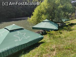 [P20] Restaurant Casa Păstrăvului, Doripesco- lacul, locuri unde se mananca » foto by Dana2008
 - 
<span class="allrVoted glyphicon glyphicon-heart hidden" id="av1102972"></span>
<a class="m-l-10 hidden" id="sv1102972" onclick="voting_Foto_DelVot(,1102972,4685)" role="button">șterge vot <span class="glyphicon glyphicon-remove"></span></a>
<a id="v91102972" class=" c-red"  onclick="voting_Foto_SetVot(1102972)" role="button"><span class="glyphicon glyphicon-heart-empty"></span> <b>LIKE</b> = Votează poza</a> <img class="hidden"  id="f1102972W9" src="/imagini/loader.gif" border="0" /><span class="AjErrMes hidden" id="e1102972ErM"></span>