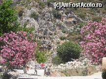 [P16] Printre leandrii infloriti,puteti vedea mormintele lyciene » foto by georgiana
 - 
<span class="allrVoted glyphicon glyphicon-heart hidden" id="av113546"></span>
<a class="m-l-10 hidden" id="sv113546" onclick="voting_Foto_DelVot(,113546,4692)" role="button">șterge vot <span class="glyphicon glyphicon-remove"></span></a>
<a id="v9113546" class=" c-red"  onclick="voting_Foto_SetVot(113546)" role="button"><span class="glyphicon glyphicon-heart-empty"></span> <b>LIKE</b> = Votează poza</a> <img class="hidden"  id="f113546W9" src="/imagini/loader.gif" border="0" /><span class="AjErrMes hidden" id="e113546ErM"></span>