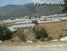 [P31] cat vezi cu ochii numai solarii » foto by georgiana
 - 
<span class="allrVoted glyphicon glyphicon-heart hidden" id="av113770"></span>
<a class="m-l-10 hidden" id="sv113770" onclick="voting_Foto_DelVot(,113770,4692)" role="button">șterge vot <span class="glyphicon glyphicon-remove"></span></a>
<a id="v9113770" class=" c-red"  onclick="voting_Foto_SetVot(113770)" role="button"><span class="glyphicon glyphicon-heart-empty"></span> <b>LIKE</b> = Votează poza</a> <img class="hidden"  id="f113770W9" src="/imagini/loader.gif" border="0" /><span class="AjErrMes hidden" id="e113770ErM"></span>