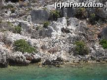 [P41] Orasul scufundat » foto by georgiana
 - 
<span class="allrVoted glyphicon glyphicon-heart hidden" id="av113795"></span>
<a class="m-l-10 hidden" id="sv113795" onclick="voting_Foto_DelVot(,113795,4692)" role="button">șterge vot <span class="glyphicon glyphicon-remove"></span></a>
<a id="v9113795" class=" c-red"  onclick="voting_Foto_SetVot(113795)" role="button"><span class="glyphicon glyphicon-heart-empty"></span> <b>LIKE</b> = Votează poza</a> <img class="hidden"  id="f113795W9" src="/imagini/loader.gif" border="0" /><span class="AjErrMes hidden" id="e113795ErM"></span>