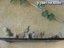 [P06] Animalele-care simbolizeaza fiecare ceva! » foto by georgiana
 - 
<span class="allrVoted glyphicon glyphicon-heart hidden" id="av133407"></span>
<a class="m-l-10 hidden" id="sv133407" onclick="voting_Foto_DelVot(,133407,4692)" role="button">șterge vot <span class="glyphicon glyphicon-remove"></span></a>
<a id="v9133407" class=" c-red"  onclick="voting_Foto_SetVot(133407)" role="button"><span class="glyphicon glyphicon-heart-empty"></span> <b>LIKE</b> = Votează poza</a> <img class="hidden"  id="f133407W9" src="/imagini/loader.gif" border="0" /><span class="AjErrMes hidden" id="e133407ErM"></span>