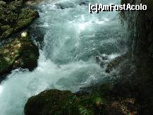 [P15] apa repede curgatoare m-a impresionat si prin culoarea ei turcoaz. » foto by a.sr*
 - 
<span class="allrVoted glyphicon glyphicon-heart hidden" id="av253714"></span>
<a class="m-l-10 hidden" id="sv253714" onclick="voting_Foto_DelVot(,253714,4692)" role="button">șterge vot <span class="glyphicon glyphicon-remove"></span></a>
<a id="v9253714" class=" c-red"  onclick="voting_Foto_SetVot(253714)" role="button"><span class="glyphicon glyphicon-heart-empty"></span> <b>LIKE</b> = Votează poza</a> <img class="hidden"  id="f253714W9" src="/imagini/loader.gif" border="0" /><span class="AjErrMes hidden" id="e253714ErM"></span>