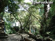 [P16] parculetul care se deschide pe aleea ce merge la cascada » foto by a.sr*
 - 
<span class="allrVoted glyphicon glyphicon-heart hidden" id="av253715"></span>
<a class="m-l-10 hidden" id="sv253715" onclick="voting_Foto_DelVot(,253715,4692)" role="button">șterge vot <span class="glyphicon glyphicon-remove"></span></a>
<a id="v9253715" class=" c-red"  onclick="voting_Foto_SetVot(253715)" role="button"><span class="glyphicon glyphicon-heart-empty"></span> <b>LIKE</b> = Votează poza</a> <img class="hidden"  id="f253715W9" src="/imagini/loader.gif" border="0" /><span class="AjErrMes hidden" id="e253715ErM"></span>