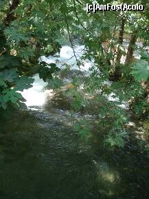 [P03] dar parca... e mai multa apa dintr-o data » foto by a.sr*
 - 
<span class="allrVoted glyphicon glyphicon-heart hidden" id="av253702"></span>
<a class="m-l-10 hidden" id="sv253702" onclick="voting_Foto_DelVot(,253702,4692)" role="button">șterge vot <span class="glyphicon glyphicon-remove"></span></a>
<a id="v9253702" class=" c-red"  onclick="voting_Foto_SetVot(253702)" role="button"><span class="glyphicon glyphicon-heart-empty"></span> <b>LIKE</b> = Votează poza</a> <img class="hidden"  id="f253702W9" src="/imagini/loader.gif" border="0" /><span class="AjErrMes hidden" id="e253702ErM"></span>