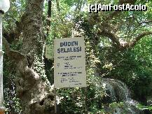 [P49] acesta este un platan de 600 de ani !!!!! » foto by a.sr*
 - 
<span class="allrVoted glyphicon glyphicon-heart hidden" id="av253748"></span>
<a class="m-l-10 hidden" id="sv253748" onclick="voting_Foto_DelVot(,253748,4692)" role="button">șterge vot <span class="glyphicon glyphicon-remove"></span></a>
<a id="v9253748" class=" c-red"  onclick="voting_Foto_SetVot(253748)" role="button"><span class="glyphicon glyphicon-heart-empty"></span> <b>LIKE</b> = Votează poza</a> <img class="hidden"  id="f253748W9" src="/imagini/loader.gif" border="0" /><span class="AjErrMes hidden" id="e253748ErM"></span>