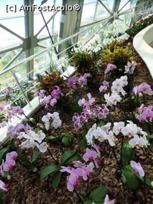 [P62] Green House » foto by Alina53
 - 
<span class="allrVoted glyphicon glyphicon-heart hidden" id="av736954"></span>
<a class="m-l-10 hidden" id="sv736954" onclick="voting_Foto_DelVot(,736954,4692)" role="button">șterge vot <span class="glyphicon glyphicon-remove"></span></a>
<a id="v9736954" class=" c-red"  onclick="voting_Foto_SetVot(736954)" role="button"><span class="glyphicon glyphicon-heart-empty"></span> <b>LIKE</b> = Votează poza</a> <img class="hidden"  id="f736954W9" src="/imagini/loader.gif" border="0" /><span class="AjErrMes hidden" id="e736954ErM"></span>