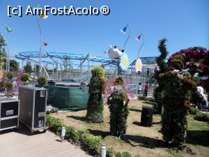 [P77]  -- <small>// FĂRĂ DESCRIERE</small> » foto by Alina53
 - 
<span class="allrVoted glyphicon glyphicon-heart hidden" id="av736979"></span>
<a class="m-l-10 hidden" id="sv736979" onclick="voting_Foto_DelVot(,736979,4692)" role="button">șterge vot <span class="glyphicon glyphicon-remove"></span></a>
<a id="v9736979" class=" c-red"  onclick="voting_Foto_SetVot(736979)" role="button"><span class="glyphicon glyphicon-heart-empty"></span> <b>LIKE</b> = Votează poza</a> <img class="hidden"  id="f736979W9" src="/imagini/loader.gif" border="0" /><span class="AjErrMes hidden" id="e736979ErM"></span>