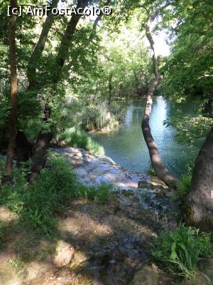 [P34]  -- <small>// FĂRĂ DESCRIERE</small> » foto by Alina53
 - 
<span class="allrVoted glyphicon glyphicon-heart hidden" id="av737856"></span>
<a class="m-l-10 hidden" id="sv737856" onclick="voting_Foto_DelVot(,737856,4692)" role="button">șterge vot <span class="glyphicon glyphicon-remove"></span></a>
<a id="v9737856" class=" c-red"  onclick="voting_Foto_SetVot(737856)" role="button"><span class="glyphicon glyphicon-heart-empty"></span> <b>LIKE</b> = Votează poza</a> <img class="hidden"  id="f737856W9" src="/imagini/loader.gif" border="0" /><span class="AjErrMes hidden" id="e737856ErM"></span>