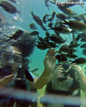 [P01]  -- <small>// FĂRĂ DESCRIERE</small> » foto by GabrielaG
 - 
<span class="allrVoted glyphicon glyphicon-heart hidden" id="av593539"></span>
<a class="m-l-10 hidden" id="sv593539" onclick="voting_Foto_DelVot(,593539,4692)" role="button">șterge vot <span class="glyphicon glyphicon-remove"></span></a>
<a id="v9593539" class=" c-red"  onclick="voting_Foto_SetVot(593539)" role="button"><span class="glyphicon glyphicon-heart-empty"></span> <b>LIKE</b> = Votează poza</a> <img class="hidden"  id="f593539W9" src="/imagini/loader.gif" border="0" /><span class="AjErrMes hidden" id="e593539ErM"></span>