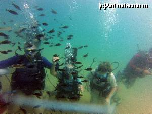 [P06]  -- <small>// FĂRĂ DESCRIERE</small> » foto by GabrielaG
 - 
<span class="allrVoted glyphicon glyphicon-heart hidden" id="av593605"></span>
<a class="m-l-10 hidden" id="sv593605" onclick="voting_Foto_DelVot(,593605,4692)" role="button">șterge vot <span class="glyphicon glyphicon-remove"></span></a>
<a id="v9593605" class=" c-red"  onclick="voting_Foto_SetVot(593605)" role="button"><span class="glyphicon glyphicon-heart-empty"></span> <b>LIKE</b> = Votează poza</a> <img class="hidden"  id="f593605W9" src="/imagini/loader.gif" border="0" /><span class="AjErrMes hidden" id="e593605ErM"></span>