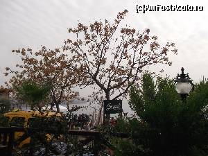 [P03] vedere din Atatürk Park » foto by GabrielaG
 - 
<span class="allrVoted glyphicon glyphicon-heart hidden" id="av597743"></span>
<a class="m-l-10 hidden" id="sv597743" onclick="voting_Foto_DelVot(,597743,4692)" role="button">șterge vot <span class="glyphicon glyphicon-remove"></span></a>
<a id="v9597743" class=" c-red"  onclick="voting_Foto_SetVot(597743)" role="button"><span class="glyphicon glyphicon-heart-empty"></span> <b>LIKE</b> = Votează poza</a> <img class="hidden"  id="f597743W9" src="/imagini/loader.gif" border="0" /><span class="AjErrMes hidden" id="e597743ErM"></span>