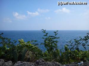 [P09] vedere din Atatürk Park intr-o zi senina si frumoasa » foto by GabrielaG
 - 
<span class="allrVoted glyphicon glyphicon-heart hidden" id="av597749"></span>
<a class="m-l-10 hidden" id="sv597749" onclick="voting_Foto_DelVot(,597749,4692)" role="button">șterge vot <span class="glyphicon glyphicon-remove"></span></a>
<a id="v9597749" class=" c-red"  onclick="voting_Foto_SetVot(597749)" role="button"><span class="glyphicon glyphicon-heart-empty"></span> <b>LIKE</b> = Votează poza</a> <img class="hidden"  id="f597749W9" src="/imagini/loader.gif" border="0" /><span class="AjErrMes hidden" id="e597749ErM"></span>