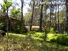 [P01] Copil fiind, paduri cutreieram....superba zona » foto by MCM
 - 
<span class="allrVoted glyphicon glyphicon-heart hidden" id="av321765"></span>
<a class="m-l-10 hidden" id="sv321765" onclick="voting_Foto_DelVot(,321765,4692)" role="button">șterge vot <span class="glyphicon glyphicon-remove"></span></a>
<a id="v9321765" class=" c-red"  onclick="voting_Foto_SetVot(321765)" role="button"><span class="glyphicon glyphicon-heart-empty"></span> <b>LIKE</b> = Votează poza</a> <img class="hidden"  id="f321765W9" src="/imagini/loader.gif" border="0" /><span class="AjErrMes hidden" id="e321765ErM"></span>