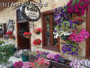 [P13] strazile din centrul istoric arata asa » foto by buterfly*
 - 
<span class="allrVoted glyphicon glyphicon-heart hidden" id="av761027"></span>
<a class="m-l-10 hidden" id="sv761027" onclick="voting_Foto_DelVot(,761027,4692)" role="button">șterge vot <span class="glyphicon glyphicon-remove"></span></a>
<a id="v9761027" class=" c-red"  onclick="voting_Foto_SetVot(761027)" role="button"><span class="glyphicon glyphicon-heart-empty"></span> <b>LIKE</b> = Votează poza</a> <img class="hidden"  id="f761027W9" src="/imagini/loader.gif" border="0" /><span class="AjErrMes hidden" id="e761027ErM"></span>