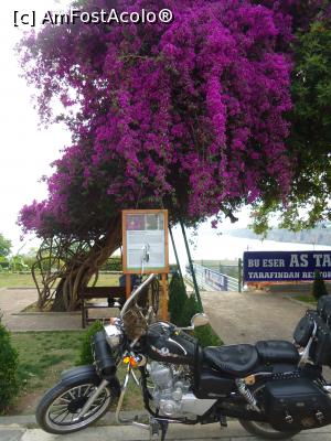 [P14] prin port... nu doar yachturi » foto by buterfly*
 - 
<span class="allrVoted glyphicon glyphicon-heart hidden" id="av761028"></span>
<a class="m-l-10 hidden" id="sv761028" onclick="voting_Foto_DelVot(,761028,4692)" role="button">șterge vot <span class="glyphicon glyphicon-remove"></span></a>
<a id="v9761028" class=" c-red"  onclick="voting_Foto_SetVot(761028)" role="button"><span class="glyphicon glyphicon-heart-empty"></span> <b>LIKE</b> = Votează poza</a> <img class="hidden"  id="f761028W9" src="/imagini/loader.gif" border="0" /><span class="AjErrMes hidden" id="e761028ErM"></span>