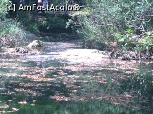 [P05] kursunlu » foto by mihai.panait
 - 
<span class="allrVoted glyphicon glyphicon-heart hidden" id="av770753"></span>
<a class="m-l-10 hidden" id="sv770753" onclick="voting_Foto_DelVot(,770753,4692)" role="button">șterge vot <span class="glyphicon glyphicon-remove"></span></a>
<a id="v9770753" class=" c-red"  onclick="voting_Foto_SetVot(770753)" role="button"><span class="glyphicon glyphicon-heart-empty"></span> <b>LIKE</b> = Votează poza</a> <img class="hidden"  id="f770753W9" src="/imagini/loader.gif" border="0" /><span class="AjErrMes hidden" id="e770753ErM"></span>