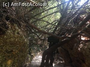 [P09] kursunlu » foto by mihai.panait
 - 
<span class="allrVoted glyphicon glyphicon-heart hidden" id="av770757"></span>
<a class="m-l-10 hidden" id="sv770757" onclick="voting_Foto_DelVot(,770757,4692)" role="button">șterge vot <span class="glyphicon glyphicon-remove"></span></a>
<a id="v9770757" class=" c-red"  onclick="voting_Foto_SetVot(770757)" role="button"><span class="glyphicon glyphicon-heart-empty"></span> <b>LIKE</b> = Votează poza</a> <img class="hidden"  id="f770757W9" src="/imagini/loader.gif" border="0" /><span class="AjErrMes hidden" id="e770757ErM"></span>