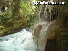 [P10]  -- <small>// FĂRĂ DESCRIERE</small> » foto by vio_andu_gaby
 - 
<span class="allrVoted glyphicon glyphicon-heart hidden" id="av235259"></span>
<a class="m-l-10 hidden" id="sv235259" onclick="voting_Foto_DelVot(,235259,4692)" role="button">șterge vot <span class="glyphicon glyphicon-remove"></span></a>
<a id="v9235259" class=" c-red"  onclick="voting_Foto_SetVot(235259)" role="button"><span class="glyphicon glyphicon-heart-empty"></span> <b>LIKE</b> = Votează poza</a> <img class="hidden"  id="f235259W9" src="/imagini/loader.gif" border="0" /><span class="AjErrMes hidden" id="e235259ErM"></span>