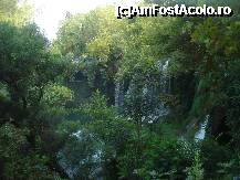 [P07] ce ziceti? » foto by vio_andu_gaby
 - 
<span class="allrVoted glyphicon glyphicon-heart hidden" id="av235256"></span>
<a class="m-l-10 hidden" id="sv235256" onclick="voting_Foto_DelVot(,235256,4692)" role="button">șterge vot <span class="glyphicon glyphicon-remove"></span></a>
<a id="v9235256" class=" c-red"  onclick="voting_Foto_SetVot(235256)" role="button"><span class="glyphicon glyphicon-heart-empty"></span> <b>LIKE</b> = Votează poza</a> <img class="hidden"  id="f235256W9" src="/imagini/loader.gif" border="0" /><span class="AjErrMes hidden" id="e235256ErM"></span>