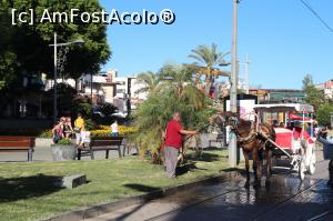 [P10] Căluți exploatați... răcoriți cu furtunul.  » foto by eliseea
 - 
<span class="allrVoted glyphicon glyphicon-heart hidden" id="av780865"></span>
<a class="m-l-10 hidden" id="sv780865" onclick="voting_Foto_DelVot(,780865,4692)" role="button">șterge vot <span class="glyphicon glyphicon-remove"></span></a>
<a id="v9780865" class=" c-red"  onclick="voting_Foto_SetVot(780865)" role="button"><span class="glyphicon glyphicon-heart-empty"></span> <b>LIKE</b> = Votează poza</a> <img class="hidden"  id="f780865W9" src="/imagini/loader.gif" border="0" /><span class="AjErrMes hidden" id="e780865ErM"></span>