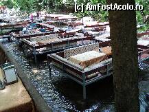 [P15] Excursie TAHTALI / poftiti la mese ! » foto by TORA INGRID
 - 
<span class="allrVoted glyphicon glyphicon-heart hidden" id="av199404"></span>
<a class="m-l-10 hidden" id="sv199404" onclick="voting_Foto_DelVot(,199404,4692)" role="button">șterge vot <span class="glyphicon glyphicon-remove"></span></a>
<a id="v9199404" class=" c-red"  onclick="voting_Foto_SetVot(199404)" role="button"><span class="glyphicon glyphicon-heart-empty"></span> <b>LIKE</b> = Votează poza</a> <img class="hidden"  id="f199404W9" src="/imagini/loader.gif" border="0" /><span class="AjErrMes hidden" id="e199404ErM"></span>