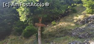 [P49] Ne apropiem de Stâna din Zăganu dar câinii răi nu mai sunt. » foto by Aurici
 - 
<span class="allrVoted glyphicon glyphicon-heart hidden" id="av1191156"></span>
<a class="m-l-10 hidden" id="sv1191156" onclick="voting_Foto_DelVot(,1191156,4696)" role="button">șterge vot <span class="glyphicon glyphicon-remove"></span></a>
<a id="v91191156" class=" c-red"  onclick="voting_Foto_SetVot(1191156)" role="button"><span class="glyphicon glyphicon-heart-empty"></span> <b>LIKE</b> = Votează poza</a> <img class="hidden"  id="f1191156W9" src="/imagini/loader.gif" border="0" /><span class="AjErrMes hidden" id="e1191156ErM"></span>