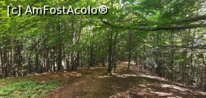 [P54] Și durata de 1-1,5 ore am înjumătățit-o. » foto by Aurici
 - 
<span class="allrVoted glyphicon glyphicon-heart hidden" id="av1191161"></span>
<a class="m-l-10 hidden" id="sv1191161" onclick="voting_Foto_DelVot(,1191161,4696)" role="button">șterge vot <span class="glyphicon glyphicon-remove"></span></a>
<a id="v91191161" class=" c-red"  onclick="voting_Foto_SetVot(1191161)" role="button"><span class="glyphicon glyphicon-heart-empty"></span> <b>LIKE</b> = Votează poza</a> <img class="hidden"  id="f1191161W9" src="/imagini/loader.gif" border="0" /><span class="AjErrMes hidden" id="e1191161ErM"></span>