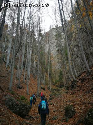 [P03] O primă parte mai ușoară » foto by Mika
 - 
<span class="allrVoted glyphicon glyphicon-heart hidden" id="av1206286"></span>
<a class="m-l-10 hidden" id="sv1206286" onclick="voting_Foto_DelVot(,1206286,4696)" role="button">șterge vot <span class="glyphicon glyphicon-remove"></span></a>
<a id="v91206286" class=" c-red"  onclick="voting_Foto_SetVot(1206286)" role="button"><span class="glyphicon glyphicon-heart-empty"></span> <b>LIKE</b> = Votează poza</a> <img class="hidden"  id="f1206286W9" src="/imagini/loader.gif" border="0" /><span class="AjErrMes hidden" id="e1206286ErM"></span>