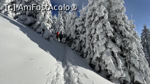 [P10] Munții Ciucaș - de la Bratocea pe Vârful Ciucaș » foto by Mika
 - 
<span class="allrVoted glyphicon glyphicon-heart hidden" id="av1516084"></span>
<a class="m-l-10 hidden" id="sv1516084" onclick="voting_Foto_DelVot(,1516084,4696)" role="button">șterge vot <span class="glyphicon glyphicon-remove"></span></a>
<a id="v91516084" class=" c-red"  onclick="voting_Foto_SetVot(1516084)" role="button"><span class="glyphicon glyphicon-heart-empty"></span> <b>LIKE</b> = Votează poza</a> <img class="hidden"  id="f1516084W9" src="/imagini/loader.gif" border="0" /><span class="AjErrMes hidden" id="e1516084ErM"></span>