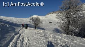 [P02] Aproape de stana » foto by Mika
 - 
<span class="allrVoted glyphicon glyphicon-heart hidden" id="av1516076"></span>
<a class="m-l-10 hidden" id="sv1516076" onclick="voting_Foto_DelVot(,1516076,4696)" role="button">șterge vot <span class="glyphicon glyphicon-remove"></span></a>
<a id="v91516076" class=" c-red"  onclick="voting_Foto_SetVot(1516076)" role="button"><span class="glyphicon glyphicon-heart-empty"></span> <b>LIKE</b> = Votează poza</a> <img class="hidden"  id="f1516076W9" src="/imagini/loader.gif" border="0" /><span class="AjErrMes hidden" id="e1516076ErM"></span>