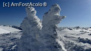 [P25] Munții Ciucaș - de la Bratocea pe Vârful Ciucaș » foto by Mika
 - 
<span class="allrVoted glyphicon glyphicon-heart hidden" id="av1516099"></span>
<a class="m-l-10 hidden" id="sv1516099" onclick="voting_Foto_DelVot(,1516099,4696)" role="button">șterge vot <span class="glyphicon glyphicon-remove"></span></a>
<a id="v91516099" class=" c-red"  onclick="voting_Foto_SetVot(1516099)" role="button"><span class="glyphicon glyphicon-heart-empty"></span> <b>LIKE</b> = Votează poza</a> <img class="hidden"  id="f1516099W9" src="/imagini/loader.gif" border="0" /><span class="AjErrMes hidden" id="e1516099ErM"></span>