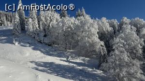 [P03] Începe urcusul » foto by Mika
 - 
<span class="allrVoted glyphicon glyphicon-heart hidden" id="av1516077"></span>
<a class="m-l-10 hidden" id="sv1516077" onclick="voting_Foto_DelVot(,1516077,4696)" role="button">șterge vot <span class="glyphicon glyphicon-remove"></span></a>
<a id="v91516077" class=" c-red"  onclick="voting_Foto_SetVot(1516077)" role="button"><span class="glyphicon glyphicon-heart-empty"></span> <b>LIKE</b> = Votează poza</a> <img class="hidden"  id="f1516077W9" src="/imagini/loader.gif" border="0" /><span class="AjErrMes hidden" id="e1516077ErM"></span>