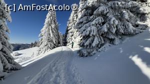 [P07] Munții Ciucaș - de la Bratocea pe Vârful Ciucaș » foto by Mika
 - 
<span class="allrVoted glyphicon glyphicon-heart hidden" id="av1516081"></span>
<a class="m-l-10 hidden" id="sv1516081" onclick="voting_Foto_DelVot(,1516081,4696)" role="button">șterge vot <span class="glyphicon glyphicon-remove"></span></a>
<a id="v91516081" class=" c-red"  onclick="voting_Foto_SetVot(1516081)" role="button"><span class="glyphicon glyphicon-heart-empty"></span> <b>LIKE</b> = Votează poza</a> <img class="hidden"  id="f1516081W9" src="/imagini/loader.gif" border="0" /><span class="AjErrMes hidden" id="e1516081ErM"></span>