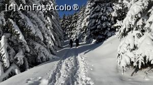 [P09] Munții Ciucaș - de la Bratocea pe Vârful Ciucaș » foto by Mika
 - 
<span class="allrVoted glyphicon glyphicon-heart hidden" id="av1516083"></span>
<a class="m-l-10 hidden" id="sv1516083" onclick="voting_Foto_DelVot(,1516083,4696)" role="button">șterge vot <span class="glyphicon glyphicon-remove"></span></a>
<a id="v91516083" class=" c-red"  onclick="voting_Foto_SetVot(1516083)" role="button"><span class="glyphicon glyphicon-heart-empty"></span> <b>LIKE</b> = Votează poza</a> <img class="hidden"  id="f1516083W9" src="/imagini/loader.gif" border="0" /><span class="AjErrMes hidden" id="e1516083ErM"></span>