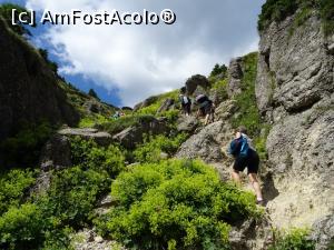 [P10] Torentul pe care trebuie urcat spre vârf - una din porțiunile mai dificile ale traseului.  » foto by tata123 🔱
 - 
<span class="allrVoted glyphicon glyphicon-heart hidden" id="av1109989"></span>
<a class="m-l-10 hidden" id="sv1109989" onclick="voting_Foto_DelVot(,1109989,4696)" role="button">șterge vot <span class="glyphicon glyphicon-remove"></span></a>
<a id="v91109989" class=" c-red"  onclick="voting_Foto_SetVot(1109989)" role="button"><span class="glyphicon glyphicon-heart-empty"></span> <b>LIKE</b> = Votează poza</a> <img class="hidden"  id="f1109989W9" src="/imagini/loader.gif" border="0" /><span class="AjErrMes hidden" id="e1109989ErM"></span>