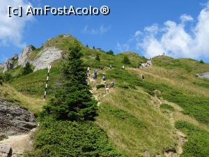[P12] Aglomerație pe poteca spre Vârful Ciucaș.  » foto by tata123 🔱
 - 
<span class="allrVoted glyphicon glyphicon-heart hidden" id="av1109991"></span>
<a class="m-l-10 hidden" id="sv1109991" onclick="voting_Foto_DelVot(,1109991,4696)" role="button">șterge vot <span class="glyphicon glyphicon-remove"></span></a>
<a id="v91109991" class=" c-red"  onclick="voting_Foto_SetVot(1109991)" role="button"><span class="glyphicon glyphicon-heart-empty"></span> <b>LIKE</b> = Votează poza</a> <img class="hidden"  id="f1109991W9" src="/imagini/loader.gif" border="0" /><span class="AjErrMes hidden" id="e1109991ErM"></span>