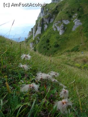 [P15] Traseul de întoarcere, prin Șaua Țigăilor.  » foto by tata123 🔱
 - 
<span class="allrVoted glyphicon glyphicon-heart hidden" id="av1109994"></span>
<a class="m-l-10 hidden" id="sv1109994" onclick="voting_Foto_DelVot(,1109994,4696)" role="button">șterge vot <span class="glyphicon glyphicon-remove"></span></a>
<a id="v91109994" class=" c-red"  onclick="voting_Foto_SetVot(1109994)" role="button"><span class="glyphicon glyphicon-heart-empty"></span> <b>LIKE</b> = Votează poza</a> <img class="hidden"  id="f1109994W9" src="/imagini/loader.gif" border="0" /><span class="AjErrMes hidden" id="e1109994ErM"></span>