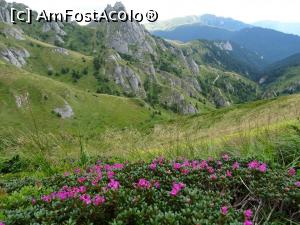 [P17] Smirdarul ne-a delectat privirile...  » foto by tata123 🔱
 - 
<span class="allrVoted glyphicon glyphicon-heart hidden" id="av1109996"></span>
<a class="m-l-10 hidden" id="sv1109996" onclick="voting_Foto_DelVot(,1109996,4696)" role="button">șterge vot <span class="glyphicon glyphicon-remove"></span></a>
<a id="v91109996" class=" c-red"  onclick="voting_Foto_SetVot(1109996)" role="button"><span class="glyphicon glyphicon-heart-empty"></span> <b>LIKE</b> = Votează poza</a> <img class="hidden"  id="f1109996W9" src="/imagini/loader.gif" border="0" /><span class="AjErrMes hidden" id="e1109996ErM"></span>