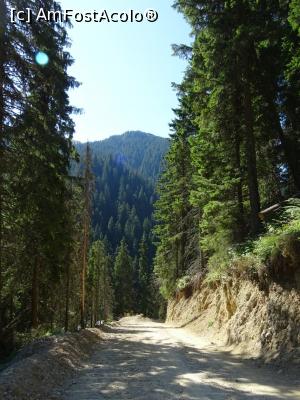 [P03] Drumul spre Cabana Ciucaș pavat cu traverse de beton, alunecos mai ales la coborâre.  » foto by tata123 🔱
 - 
<span class="allrVoted glyphicon glyphicon-heart hidden" id="av1109982"></span>
<a class="m-l-10 hidden" id="sv1109982" onclick="voting_Foto_DelVot(,1109982,4696)" role="button">șterge vot <span class="glyphicon glyphicon-remove"></span></a>
<a id="v91109982" class=" c-red"  onclick="voting_Foto_SetVot(1109982)" role="button"><span class="glyphicon glyphicon-heart-empty"></span> <b>LIKE</b> = Votează poza</a> <img class="hidden"  id="f1109982W9" src="/imagini/loader.gif" border="0" /><span class="AjErrMes hidden" id="e1109982ErM"></span>