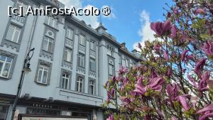 [P41] Centrul Vechi, Craiova » foto by vlado2
 - 
<span class="allrVoted glyphicon glyphicon-heart hidden" id="av1525035"></span>
<a class="m-l-10 hidden" id="sv1525035" onclick="voting_Foto_DelVot(,1525035,4701)" role="button">șterge vot <span class="glyphicon glyphicon-remove"></span></a>
<a id="v91525035" class=" c-red"  onclick="voting_Foto_SetVot(1525035)" role="button"><span class="glyphicon glyphicon-heart-empty"></span> <b>LIKE</b> = Votează poza</a> <img class="hidden"  id="f1525035W9" src="/imagini/loader.gif" border="0" /><span class="AjErrMes hidden" id="e1525035ErM"></span>