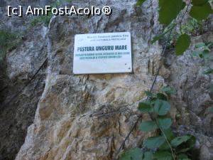 [P29] Peștera Unguru Mare - Informații turistice. » foto by iulianic
 - 
<span class="allrVoted glyphicon glyphicon-heart hidden" id="av1322842"></span>
<a class="m-l-10 hidden" id="sv1322842" onclick="voting_Foto_DelVot(,1322842,4704)" role="button">șterge vot <span class="glyphicon glyphicon-remove"></span></a>
<a id="v91322842" class=" c-red"  onclick="voting_Foto_SetVot(1322842)" role="button"><span class="glyphicon glyphicon-heart-empty"></span> <b>LIKE</b> = Votează poza</a> <img class="hidden"  id="f1322842W9" src="/imagini/loader.gif" border="0" /><span class="AjErrMes hidden" id="e1322842ErM"></span>