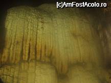 [P04] Pestera Ungurului - Suncuius - Bihor. Formatiuni calcaroase » foto by presario
 - 
<span class="allrVoted glyphicon glyphicon-heart hidden" id="av43725"></span>
<a class="m-l-10 hidden" id="sv43725" onclick="voting_Foto_DelVot(,43725,4704)" role="button">șterge vot <span class="glyphicon glyphicon-remove"></span></a>
<a id="v943725" class=" c-red"  onclick="voting_Foto_SetVot(43725)" role="button"><span class="glyphicon glyphicon-heart-empty"></span> <b>LIKE</b> = Votează poza</a> <img class="hidden"  id="f43725W9" src="/imagini/loader.gif" border="0" /><span class="AjErrMes hidden" id="e43725ErM"></span>