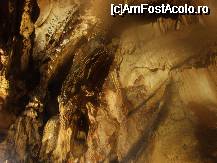[P07] Pestera Ungurului - Suncuius - Bihor » foto by presario
 - 
<span class="allrVoted glyphicon glyphicon-heart hidden" id="av43728"></span>
<a class="m-l-10 hidden" id="sv43728" onclick="voting_Foto_DelVot(,43728,4704)" role="button">șterge vot <span class="glyphicon glyphicon-remove"></span></a>
<a id="v943728" class=" c-red"  onclick="voting_Foto_SetVot(43728)" role="button"><span class="glyphicon glyphicon-heart-empty"></span> <b>LIKE</b> = Votează poza</a> <img class="hidden"  id="f43728W9" src="/imagini/loader.gif" border="0" /><span class="AjErrMes hidden" id="e43728ErM"></span>