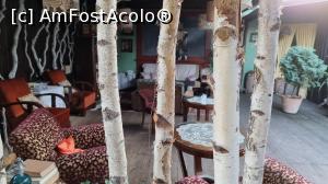 [P11] restaurantul Vineri 13 » foto by robert
 - 
<span class="allrVoted glyphicon glyphicon-heart hidden" id="av1246839"></span>
<a class="m-l-10 hidden" id="sv1246839" onclick="voting_Foto_DelVot(,1246839,4715)" role="button">șterge vot <span class="glyphicon glyphicon-remove"></span></a>
<a id="v91246839" class=" c-red"  onclick="voting_Foto_SetVot(1246839)" role="button"><span class="glyphicon glyphicon-heart-empty"></span> <b>LIKE</b> = Votează poza</a> <img class="hidden"  id="f1246839W9" src="/imagini/loader.gif" border="0" /><span class="AjErrMes hidden" id="e1246839ErM"></span>