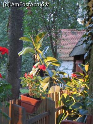 [P14] În mijlocul naturii - Restaurant „La Pădure”, Timișoara.  » foto by tata123 🔱
 - 
<span class="allrVoted glyphicon glyphicon-heart hidden" id="av795247"></span>
<a class="m-l-10 hidden" id="sv795247" onclick="voting_Foto_DelVot(,795247,4715)" role="button">șterge vot <span class="glyphicon glyphicon-remove"></span></a>
<a id="v9795247" class=" c-red"  onclick="voting_Foto_SetVot(795247)" role="button"><span class="glyphicon glyphicon-heart-empty"></span> <b>LIKE</b> = Votează poza</a> <img class="hidden"  id="f795247W9" src="/imagini/loader.gif" border="0" /><span class="AjErrMes hidden" id="e795247ErM"></span>