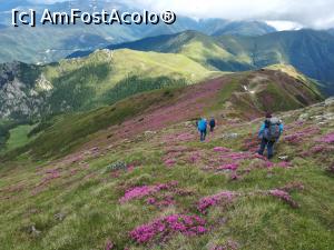 [P18] Spre Curmătura Oticului » foto by Mika
 - 
<span class="allrVoted glyphicon glyphicon-heart hidden" id="av1237773"></span>
<a class="m-l-10 hidden" id="sv1237773" onclick="voting_Foto_DelVot(,1237773,4725)" role="button">șterge vot <span class="glyphicon glyphicon-remove"></span></a>
<a id="v91237773" class=" c-red"  onclick="voting_Foto_SetVot(1237773)" role="button"><span class="glyphicon glyphicon-heart-empty"></span> <b>LIKE</b> = Votează poza</a> <img class="hidden"  id="f1237773W9" src="/imagini/loader.gif" border="0" /><span class="AjErrMes hidden" id="e1237773ErM"></span>