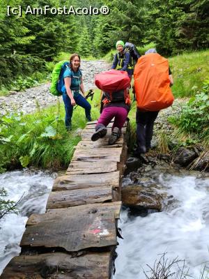 [P26] Podețul pe care am alunecat » foto by Mika
 - 
<span class="allrVoted glyphicon glyphicon-heart hidden" id="av1237781"></span>
<a class="m-l-10 hidden" id="sv1237781" onclick="voting_Foto_DelVot(,1237781,4725)" role="button">șterge vot <span class="glyphicon glyphicon-remove"></span></a>
<a id="v91237781" class=" c-red"  onclick="voting_Foto_SetVot(1237781)" role="button"><span class="glyphicon glyphicon-heart-empty"></span> <b>LIKE</b> = Votează poza</a> <img class="hidden"  id="f1237781W9" src="/imagini/loader.gif" border="0" /><span class="AjErrMes hidden" id="e1237781ErM"></span>