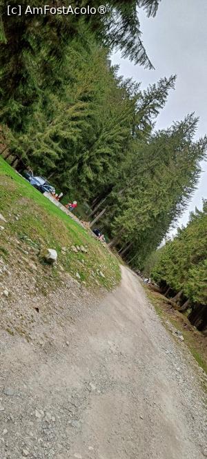 [P19] Drumul forestier spre cabana Cuca și turiști ieșiți la picnic. » foto by tata123 🔱
 - 
<span class="allrVoted glyphicon glyphicon-heart hidden" id="av1422772"></span>
<a class="m-l-10 hidden" id="sv1422772" onclick="voting_Foto_DelVot(,1422772,4725)" role="button">șterge vot <span class="glyphicon glyphicon-remove"></span></a>
<a id="v91422772" class=" c-red"  onclick="voting_Foto_SetVot(1422772)" role="button"><span class="glyphicon glyphicon-heart-empty"></span> <b>LIKE</b> = Votează poza</a> <img class="hidden"  id="f1422772W9" src="/imagini/loader.gif" border="0" /><span class="AjErrMes hidden" id="e1422772ErM"></span>